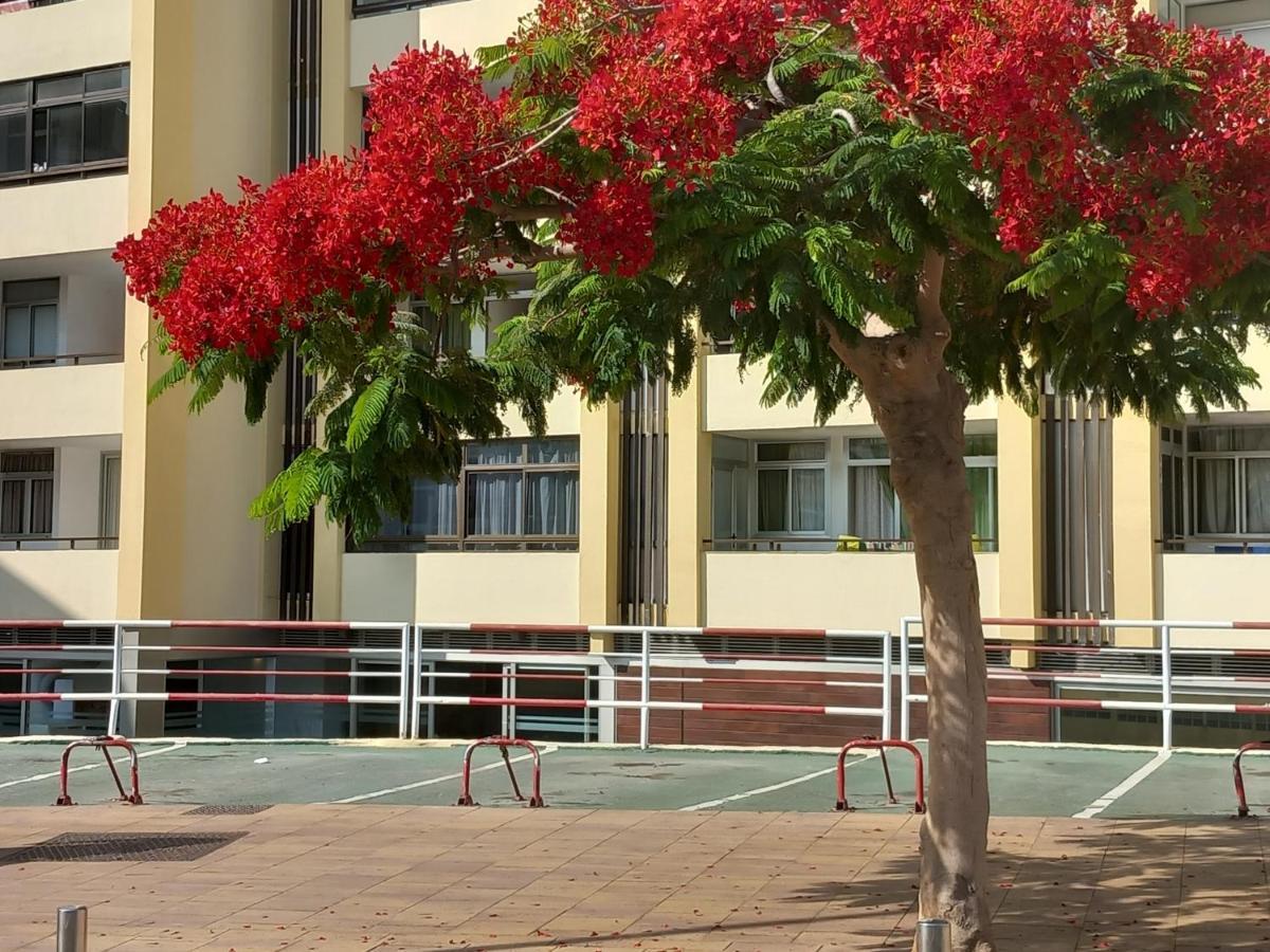 Tropical House Near Beach&Yumbo San Bartolomé Exteriör bild